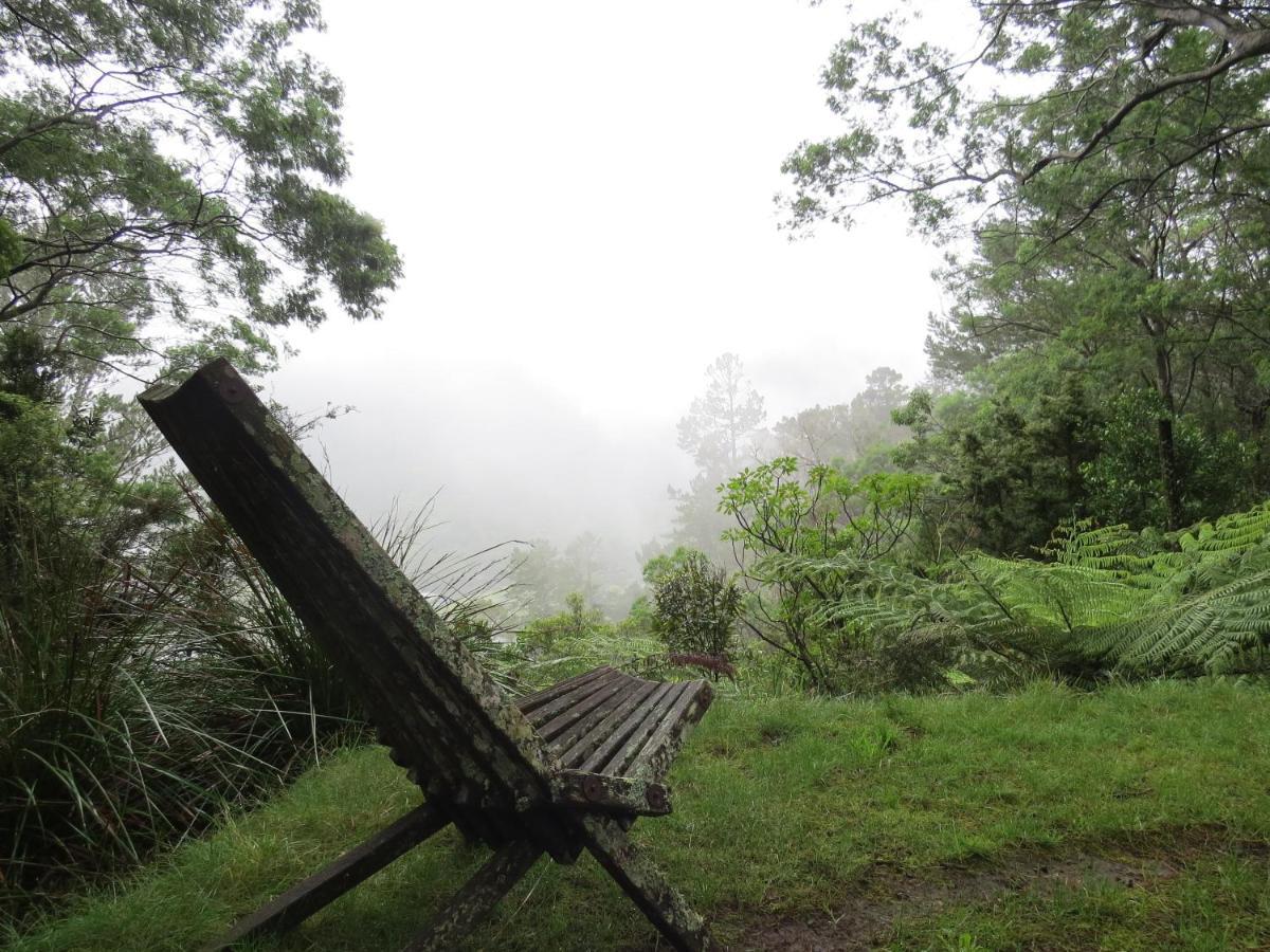 Crown Ridge Miners Cottage Karangahake Exterior foto