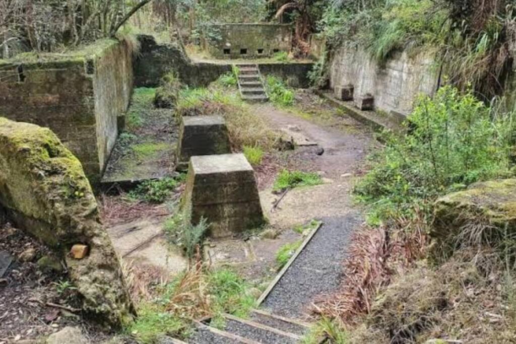 Crown Ridge Miners Cottage Karangahake Exterior foto
