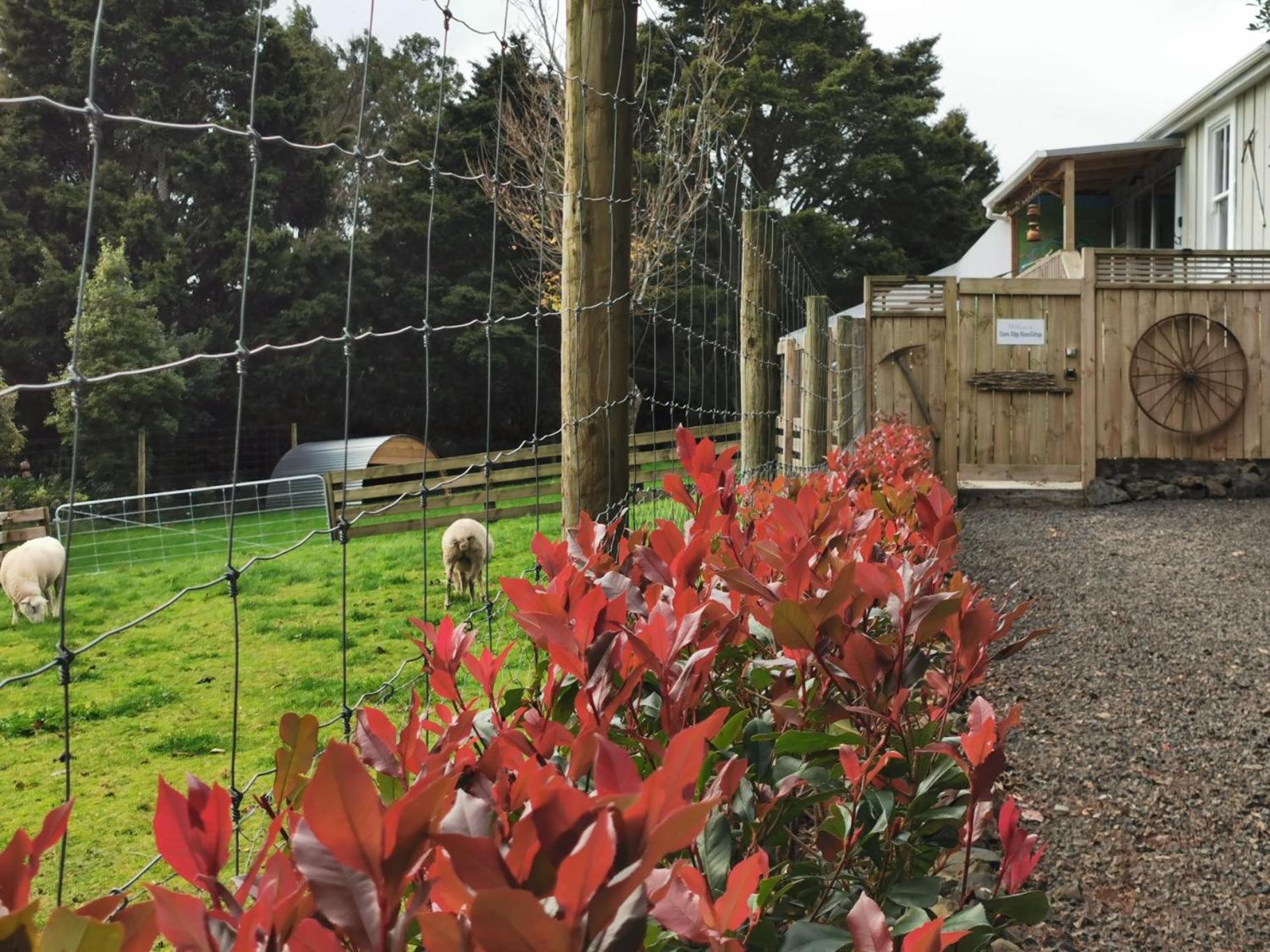 Crown Ridge Miners Cottage Karangahake Exterior foto
